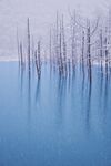 雪景
