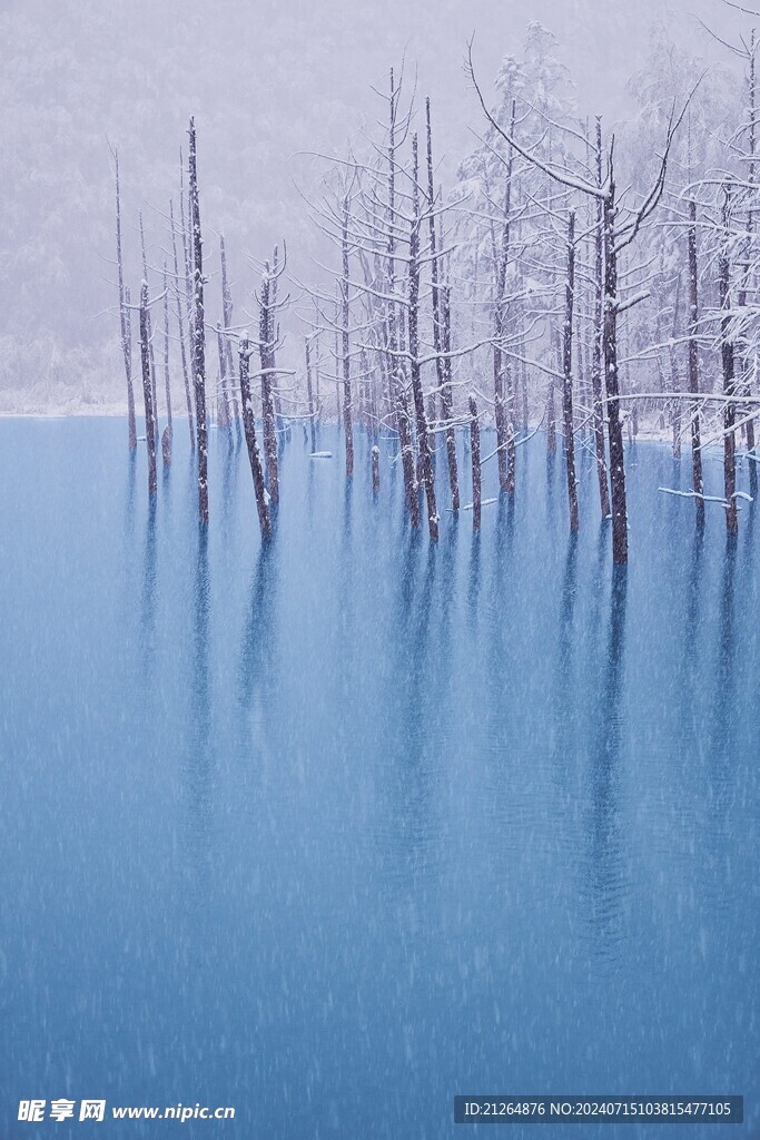 雪景