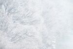 雪景