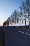 公路