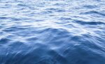 海水