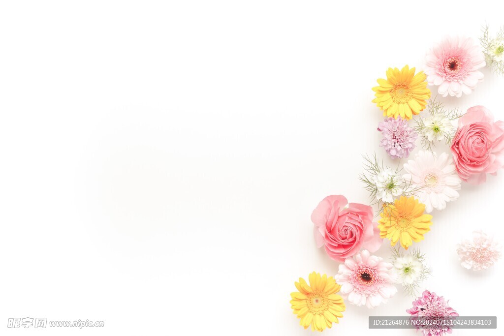鲜花摆拍