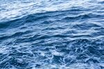 海面