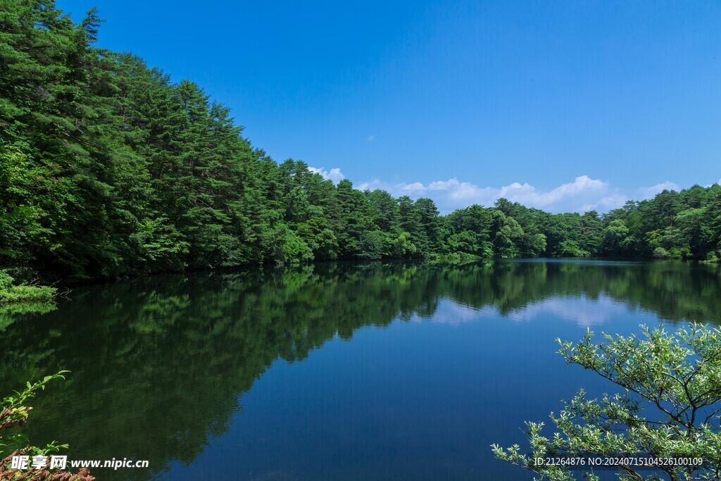 湖景