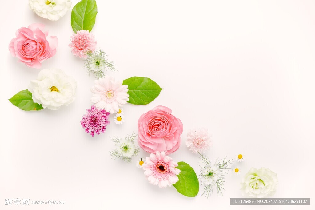 花朵摆拍