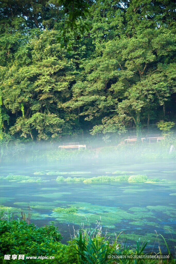 森林美景