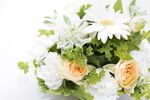 玫瑰花
