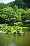 公园美景