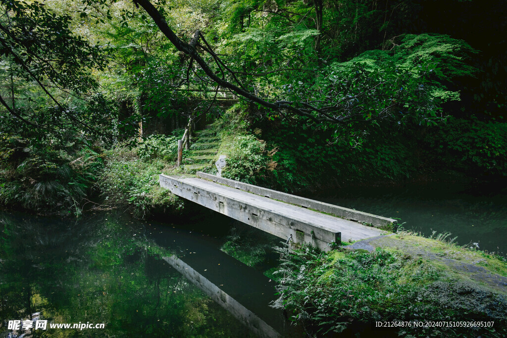 公园美景