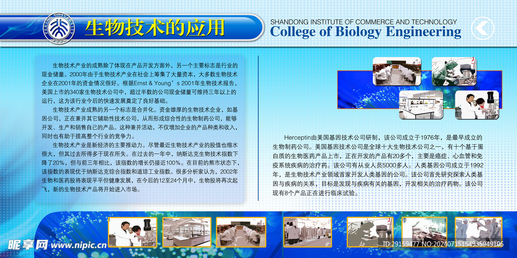          学校展板  