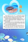 海参