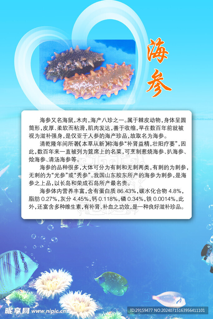 海参