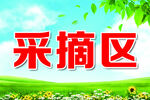 蓝天白云 草地 绿色背景