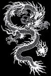 生肖龙素材