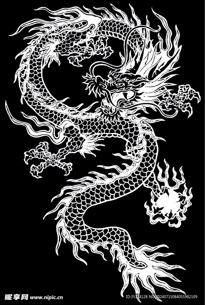 生肖龙素材