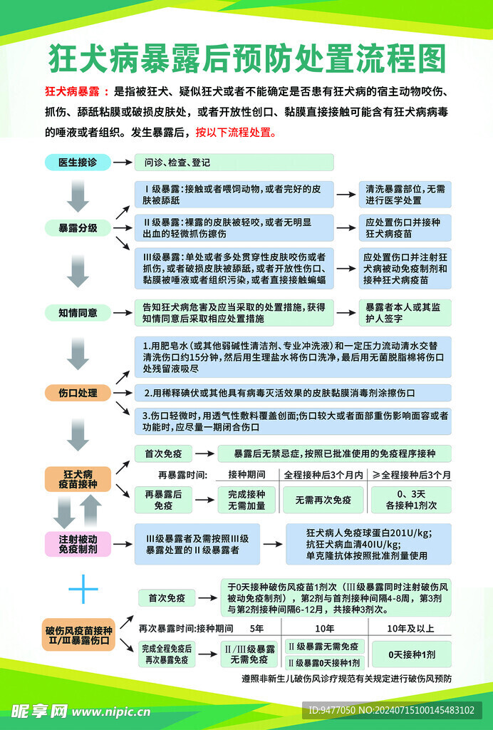 狂犬病暴露后预防处置流程