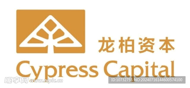 龙柏资本logo