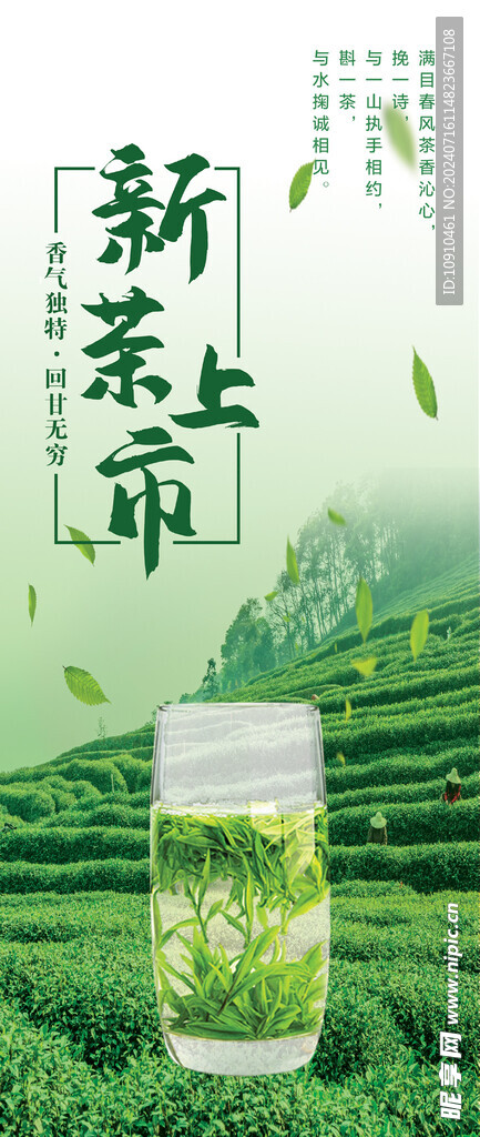 新茶上市