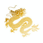 龙