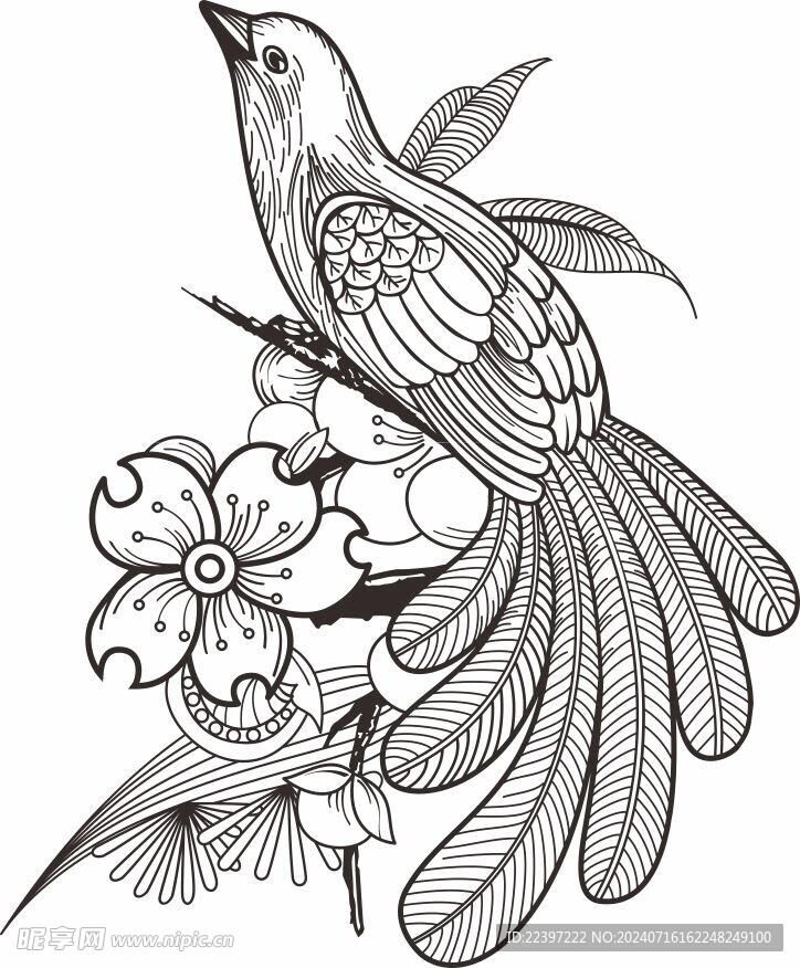 花鸟