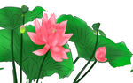 荷