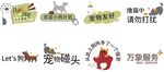 宠物手举牌