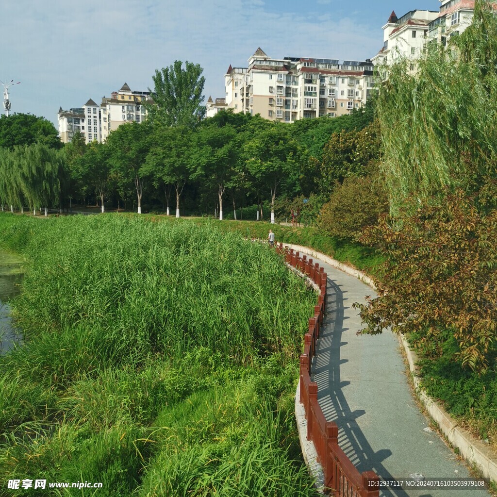 城市道路