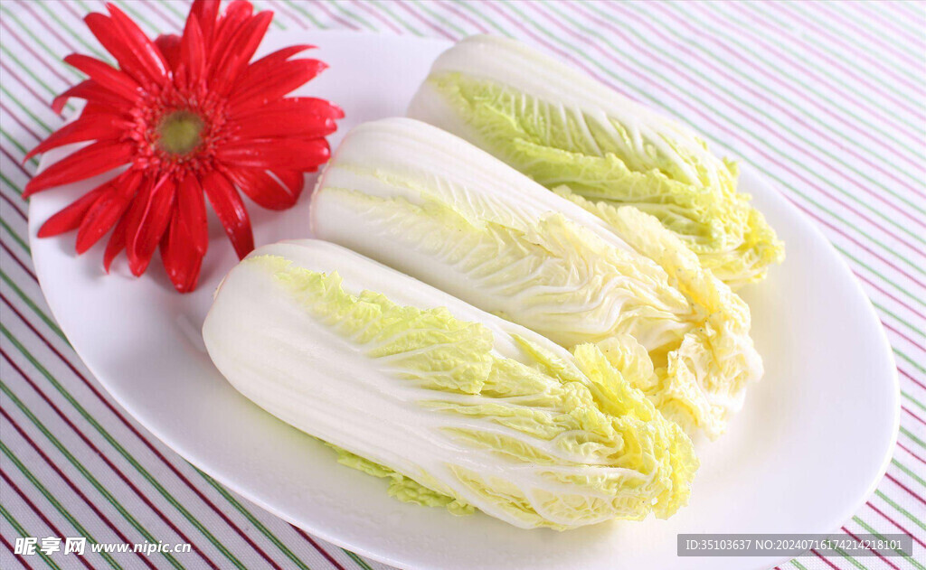 娃娃菜