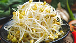 豆芽