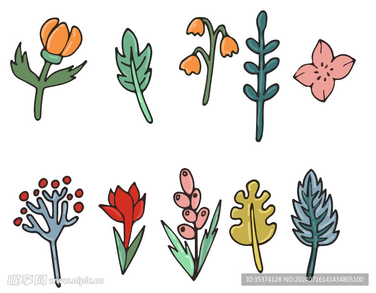植物简笔画