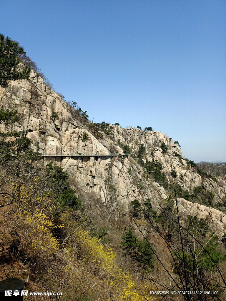 远山大山