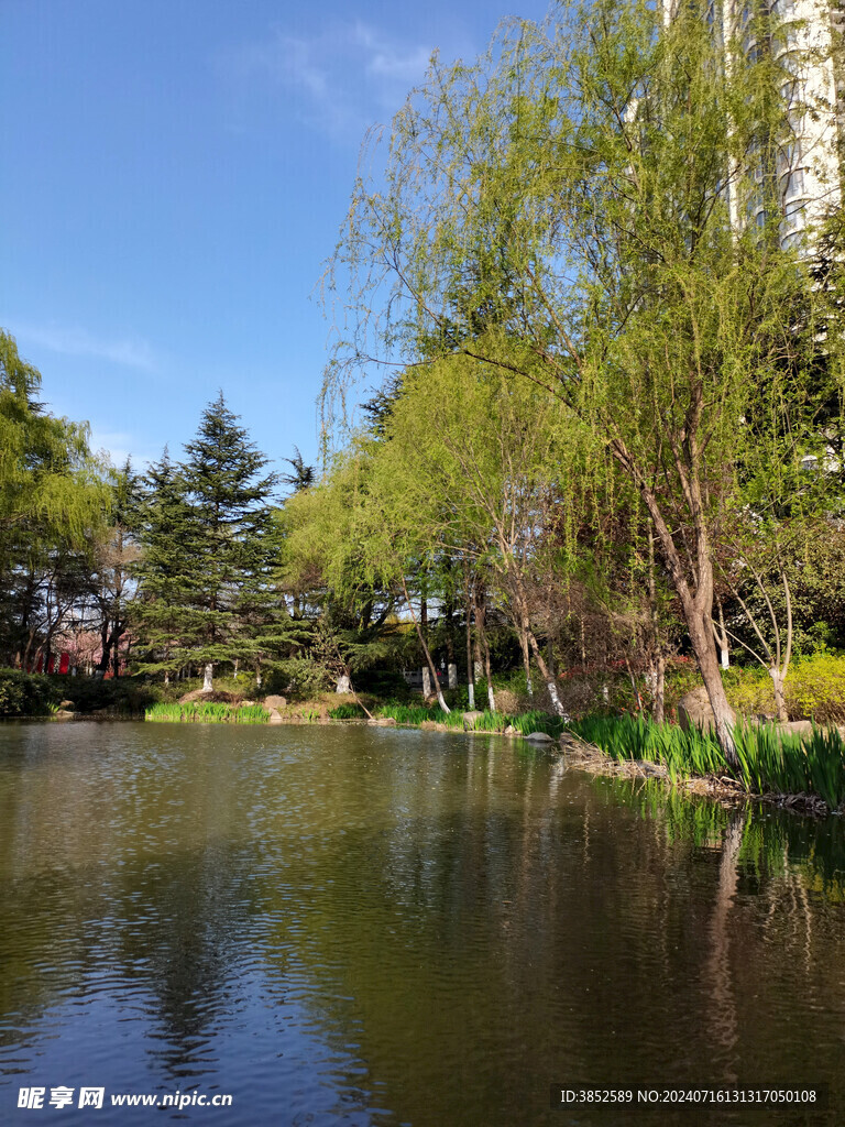 水上风景