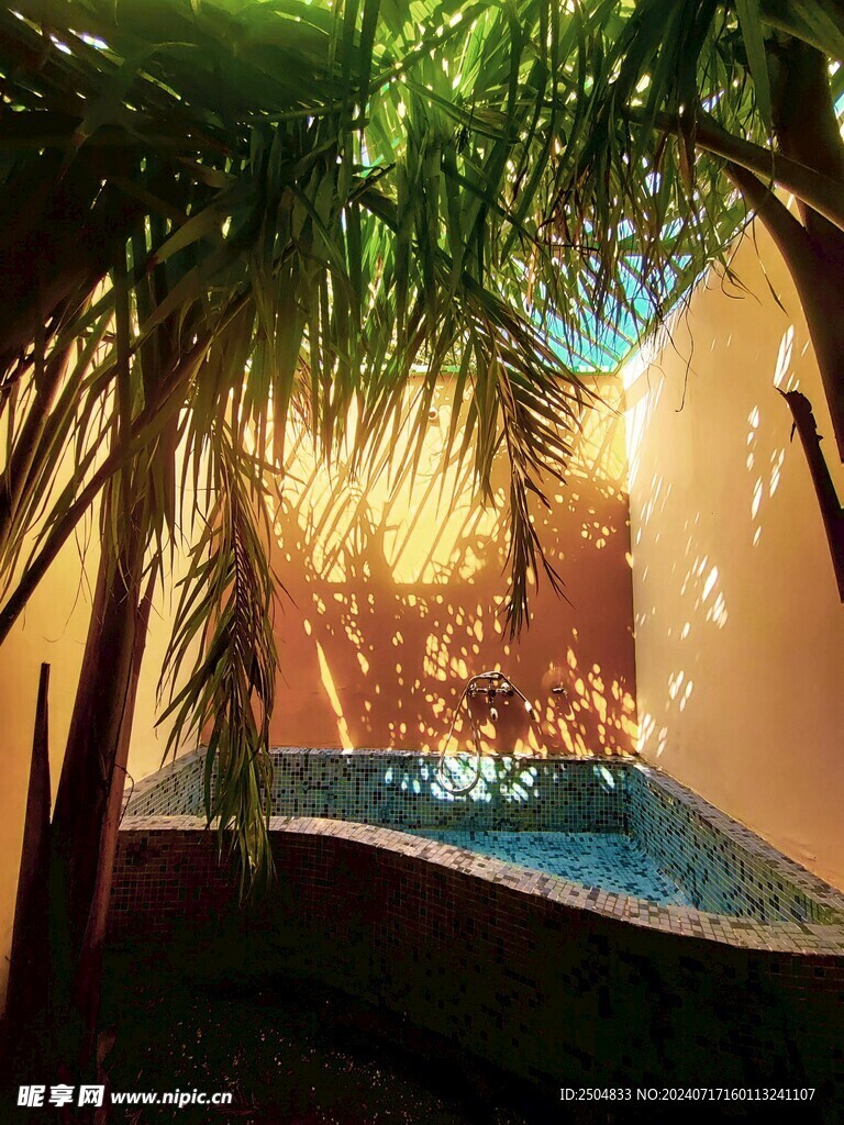 椰树