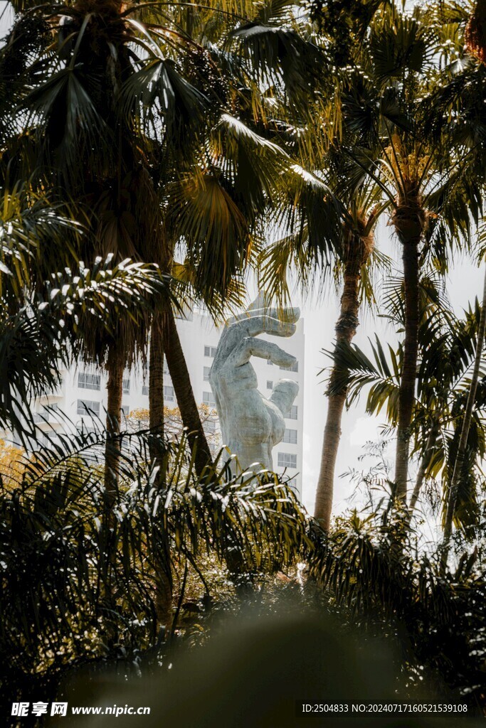 椰树