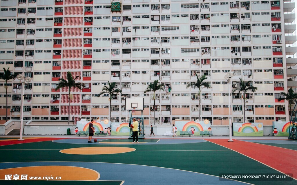 椰树