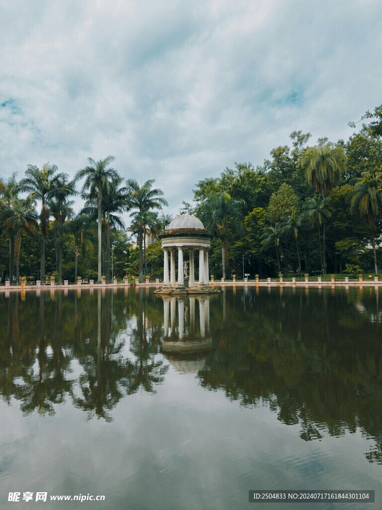 椰树