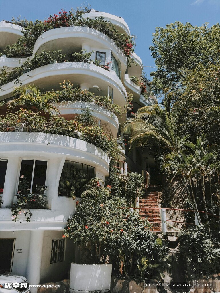 椰树