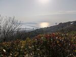 渔洋山
