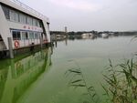 管社山庄