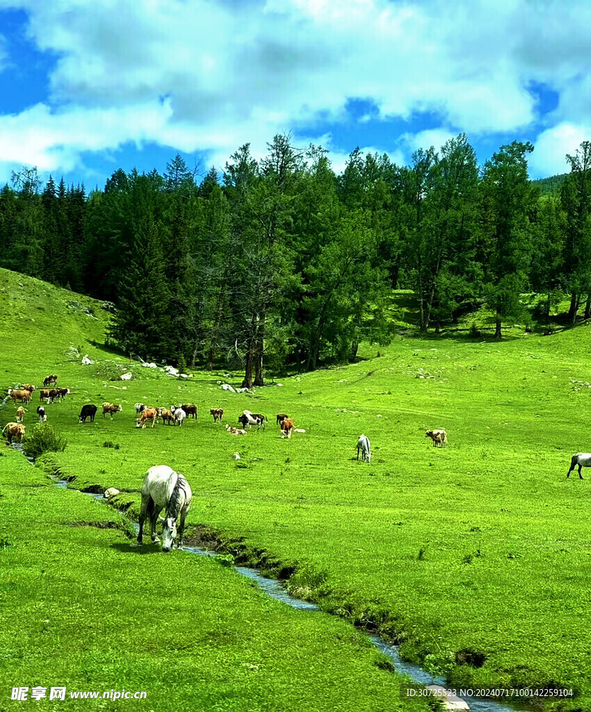 阿勒泰旅游