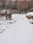 雪地