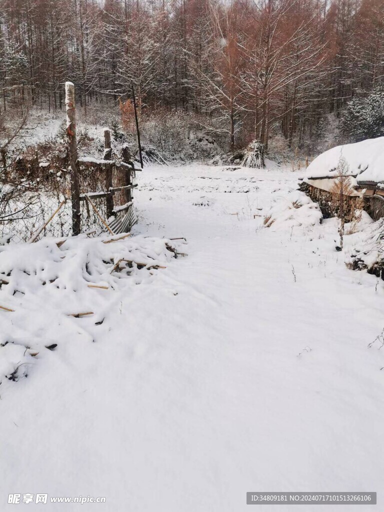 雪地