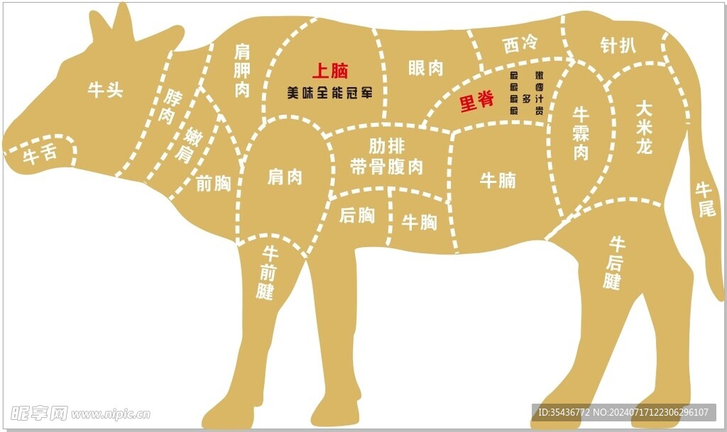 牛肉部位分布图