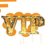 VIP会员