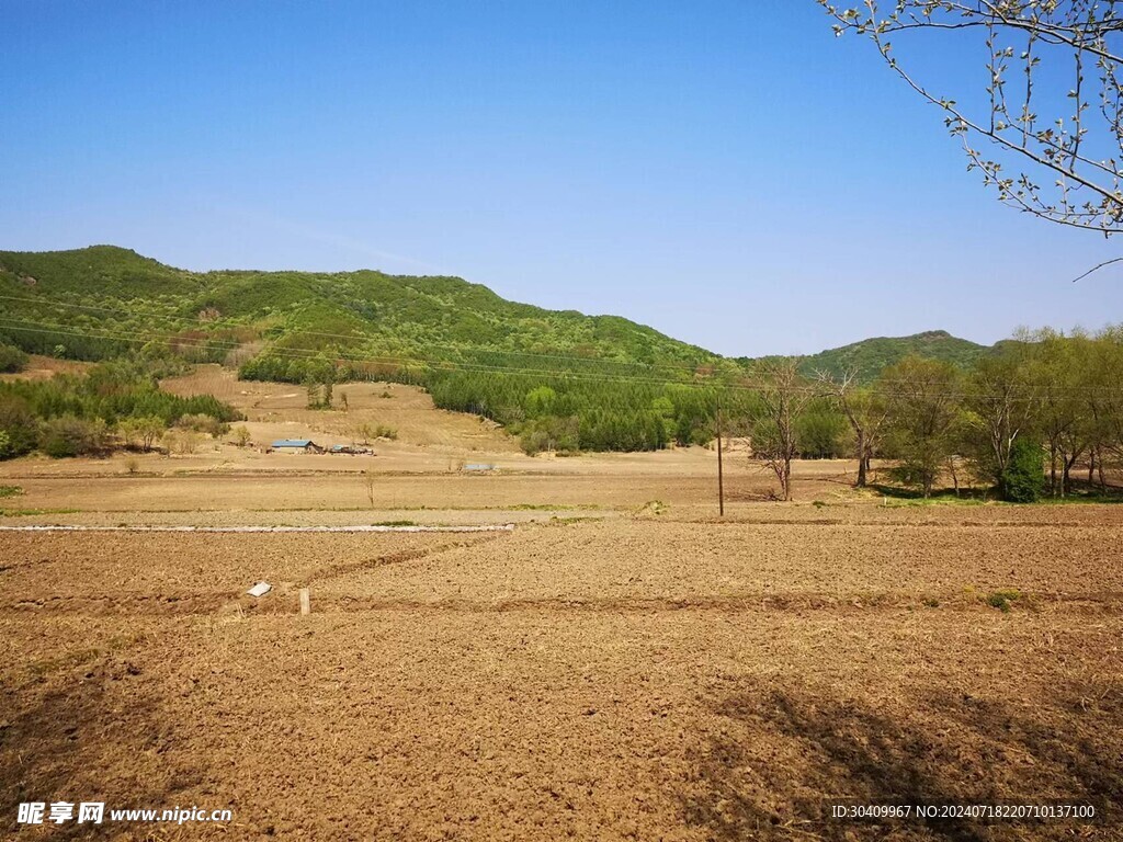 山地上的田野