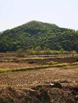 山中田野