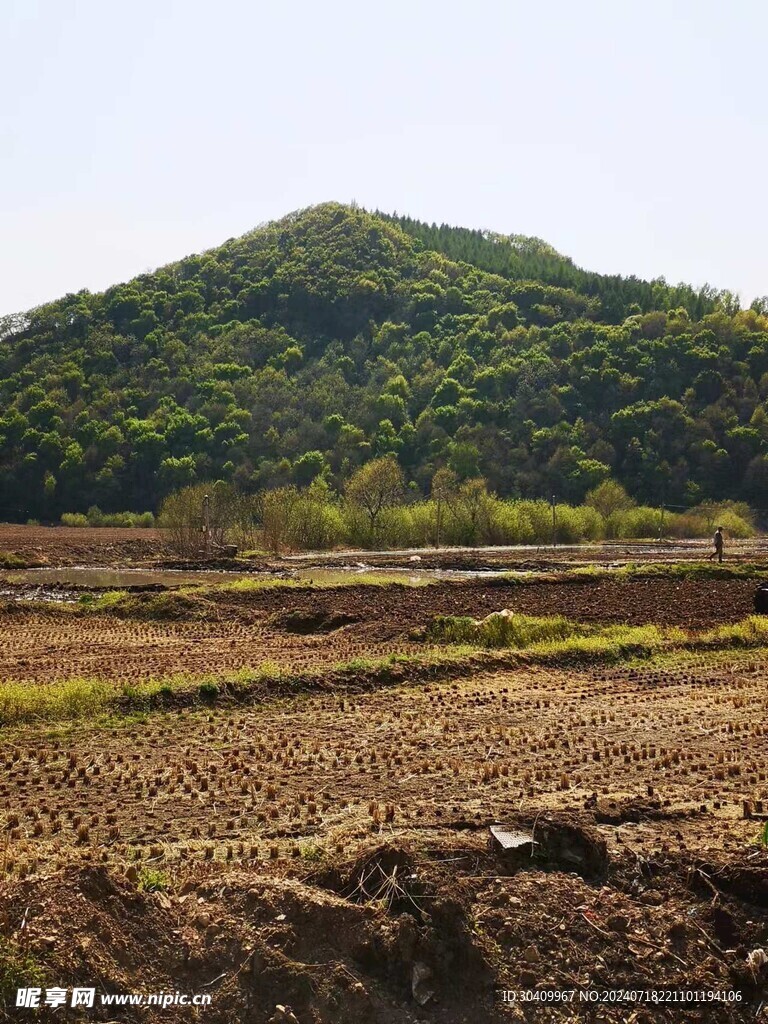 山中田野