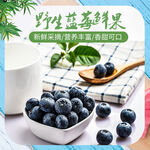 野生蓝莓鲜果