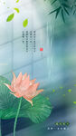 大暑节气海报图片