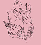 花朵线稿
